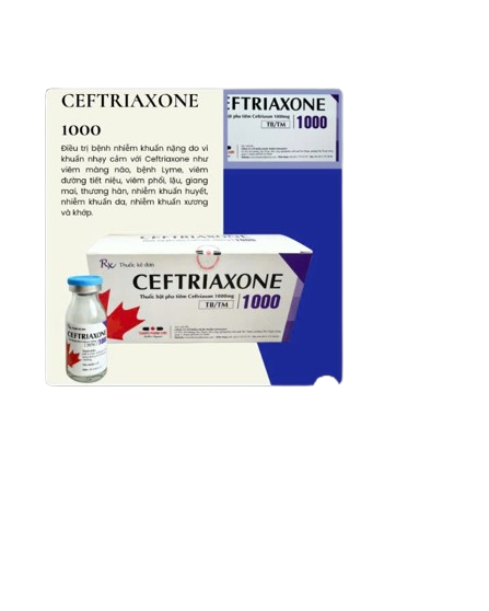 5206. Ceftriaxone (Ceftriaxon 1g; Hộp 10 lọ x 1g Bột pha tiêm; Thùng 50 hộp) Tenamyd