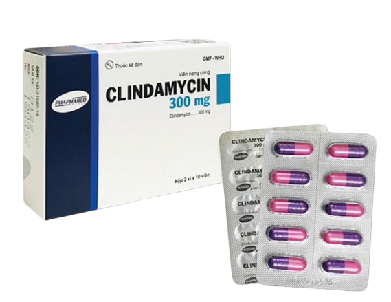 5173. Clindamycin 300mg (Clindamycin 300mg; Hộp 2 vỉ x 10 viên nang cứng; Thùng 156 hộp) Bình Thuận.
