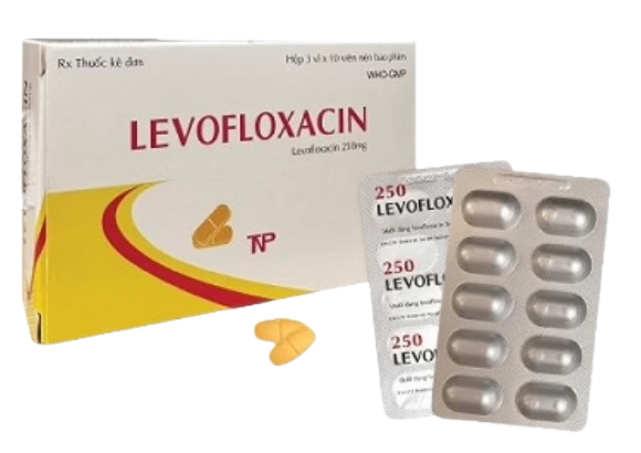 5176.(KSĐB) Levofloxacin 250 ( Levofloxacin 250mg: Hộp 3 vỉ x 10 viên nén bao phim; Thùng 192 hộp) Thành Nam .