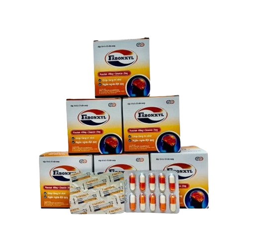 4966. FABONXYL(Piracetam 400mg + Cinnarizin 25mg ;Hộp 10 vỉ x 10 viên nang, Thùng 100 hộp) Armephaco