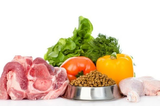 Chó cần nhu cầu dinh dưỡng cơ bản nào