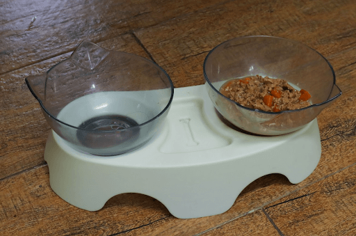 Dinh dưỡng hỗ trợ hồi phục
