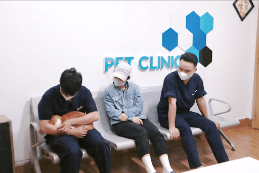 Sông Hàn Pet - Địa chỉ chăm sóc sau mổ xương chó mèo uy tín