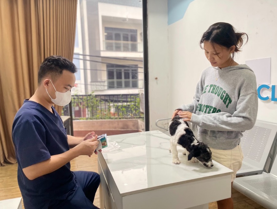 Chó con bao lâu mở mắt? Giải đáp chi tiết cho người nuôi