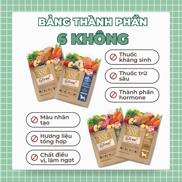 Loai-hat-nao-tot-cho-meo-Bi-quyet-chon-dung-thuc-an-giup-meo-khoe-long-dep-3.jpg