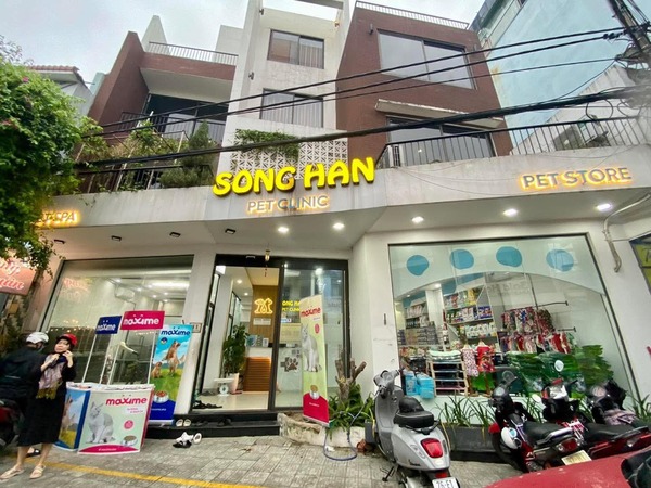 Loai-hat-nao-tot-cho-meo-Bi-quyet-chon-dung-thuc-an-giup-meo-khoe-long-dep-5.jpg