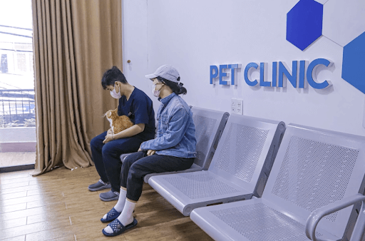 Sử dụng thuốc giảm đau và chống viêm