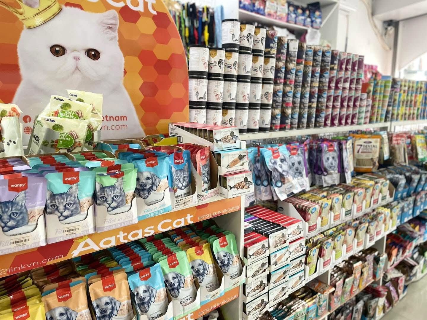 Review chi tiết các loại cát mèo giúp bạn chọn đúng loại tốt nhất
