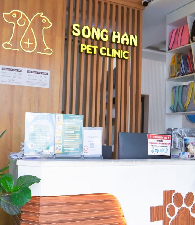 Sông Hàn Pet là địa chỉ siêu âm chó mèo uy tín