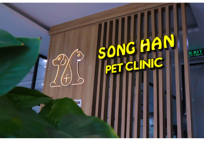 Sông Hàn Pet chuyên cung cấp dịch vụ chăm sóc toàn diện cho thú cưng của bạn