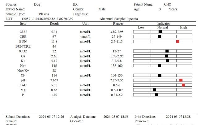 Minh họa một phiếu kết quả xét nghiệm máu cho chó