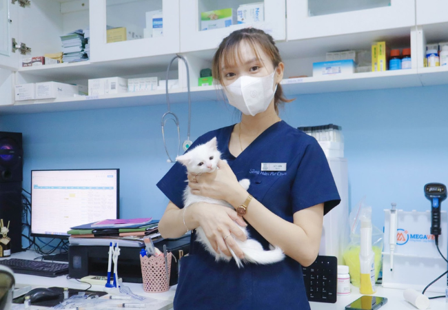 Sông Hàn Pet chuyên cung cấp dịch vụ chăm sóc toàn diện cho thú cưng của bạn