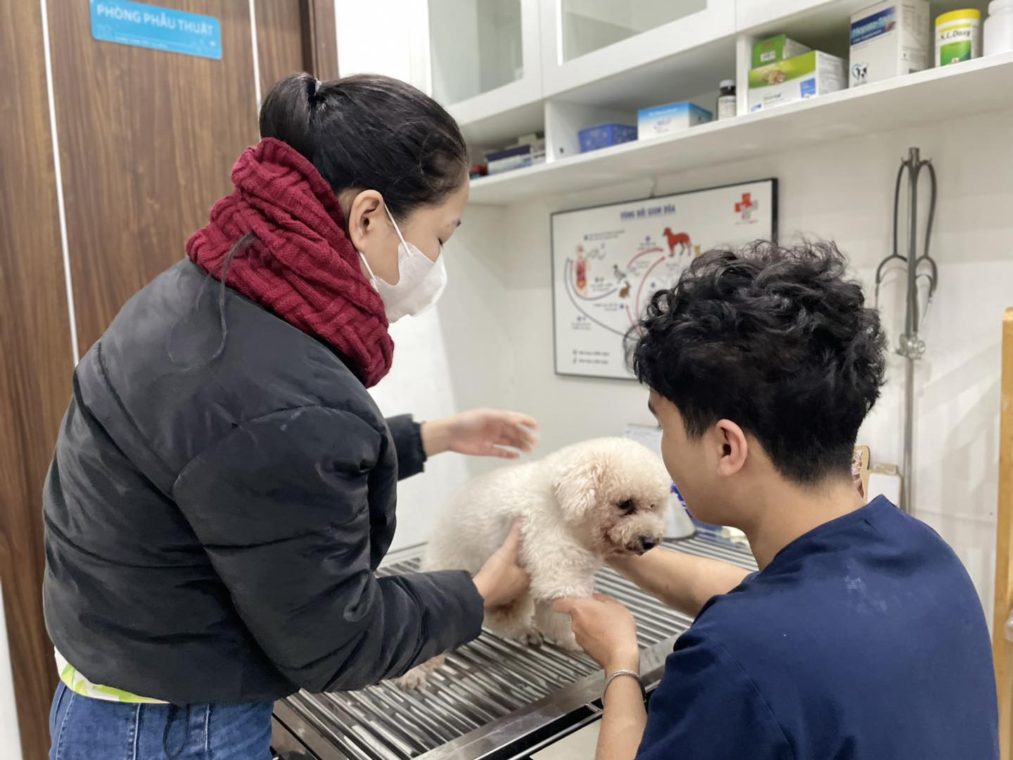 Cần nắm kiến thức cơ bản về sinh nở của chó