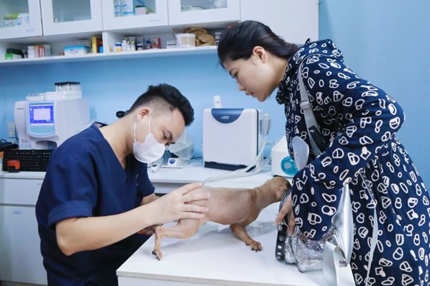Bảng giá dịch vụ thú y khám và điều trị