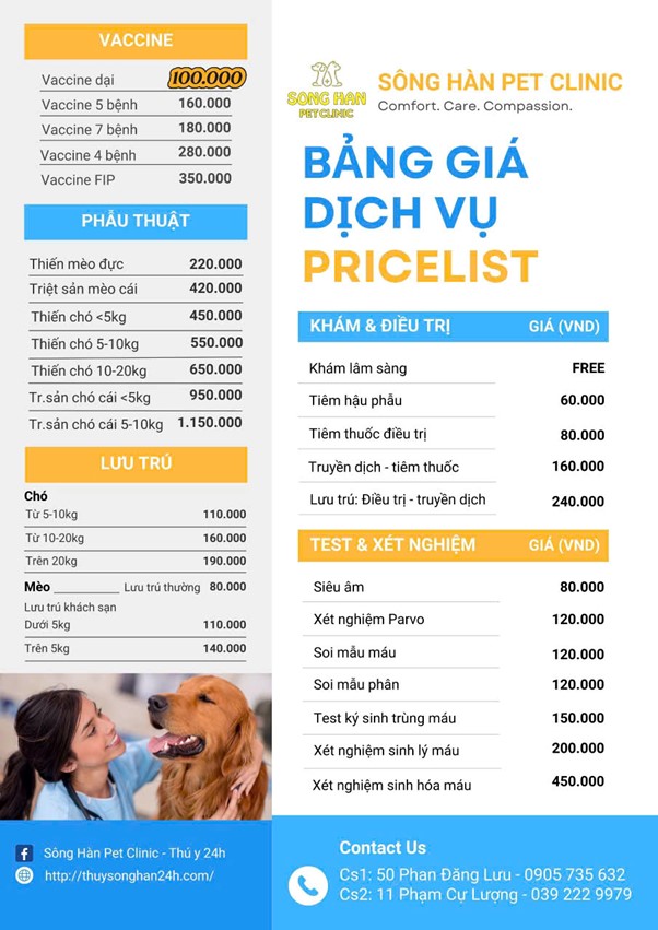 Bảng giá khám chữa bệnh thú y phải chăng của Sông hàn Pet
