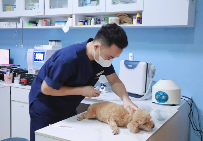 Bệnh tim bẩm sinh