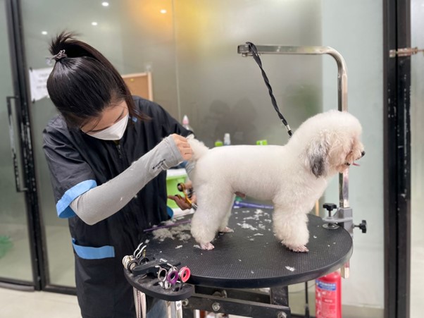 Cách chữa chó ăn bả