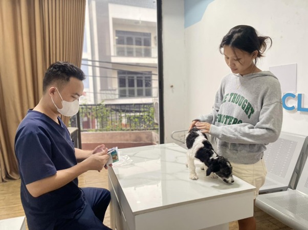Cách chữa trị chó táo bón