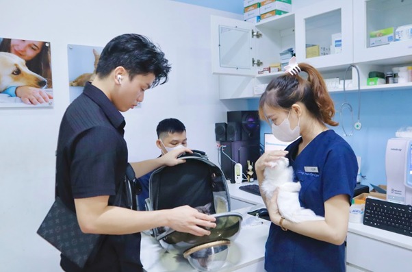 Mẹo khắc phục khẩn cấp khi mèo bị sặc nước, đuối nước