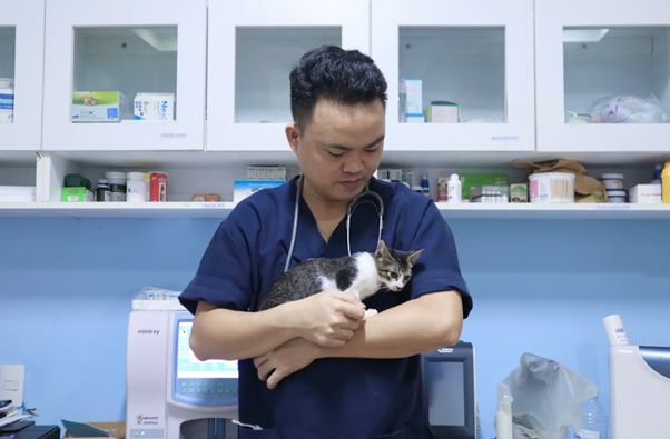 Cấu tạo của đệm thịt ở chân mèo
