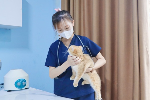 Chấn thương do tai nạn hoặc tác động bất ngờ