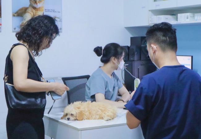 Chế độ dinh dưỡng và các yếu tố khác