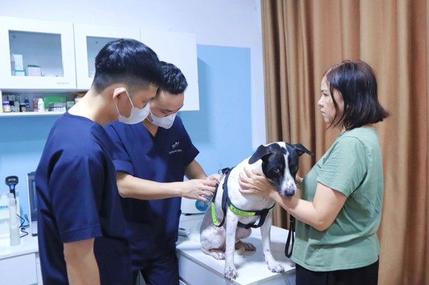 Chó lười vận động hơn