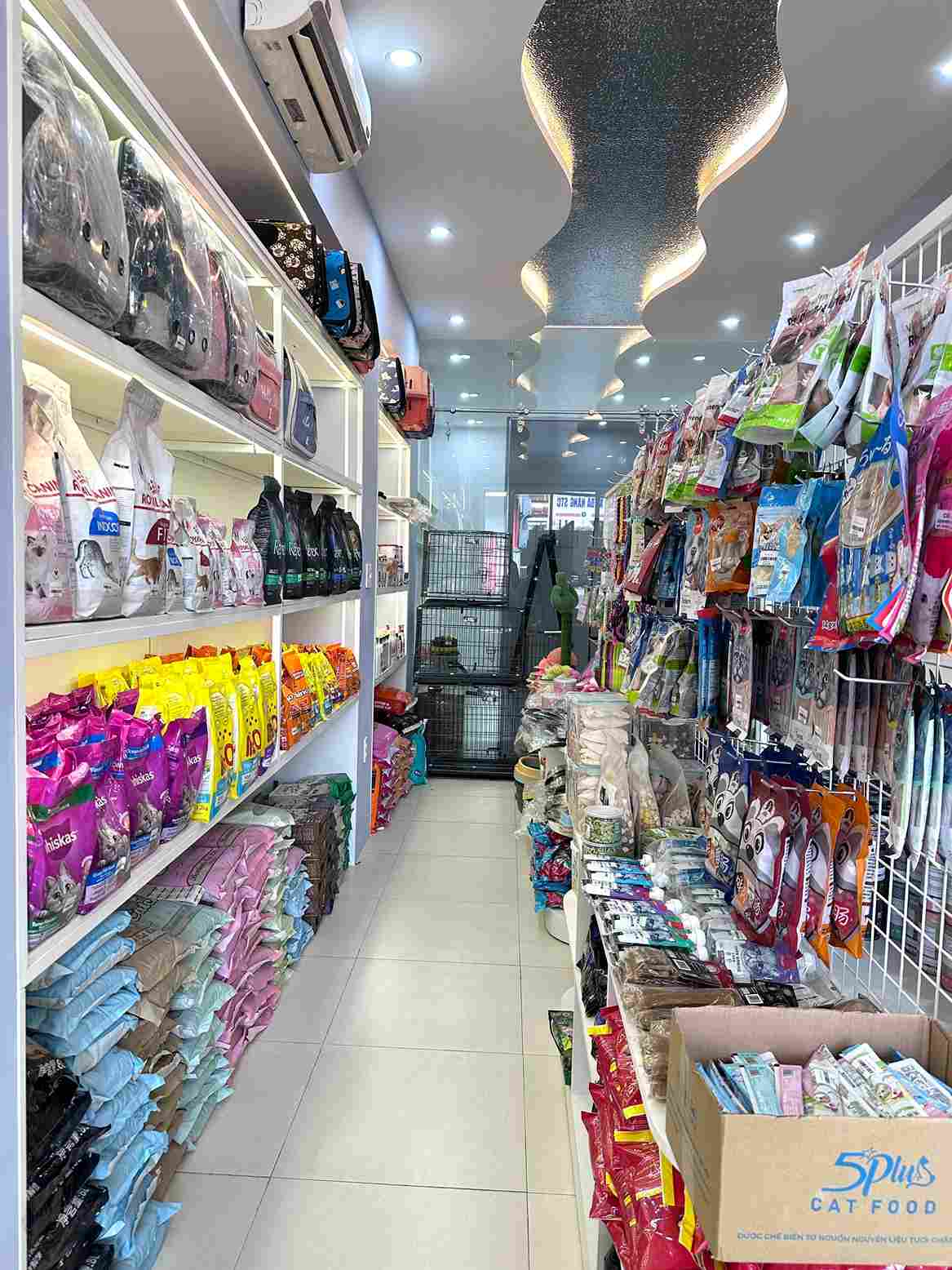 Cho mèo nhai đồ chơi hỗ trợ vệ sinh răng miệng