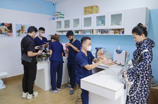 Chức năng chính của đệm thịt ở chân chó