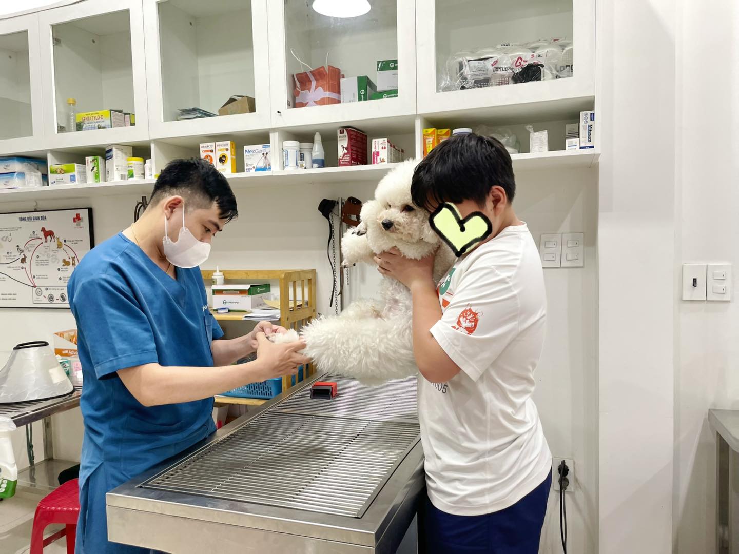 Đưa chó đến thú y nếu chó động kinh nghiêm trọng
