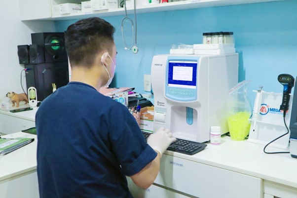 Giá dịch vụ Test và Xét nghiệm cho thú cưng mới nhất