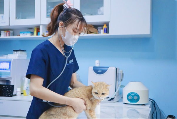Giai đoạn sau khi sinh