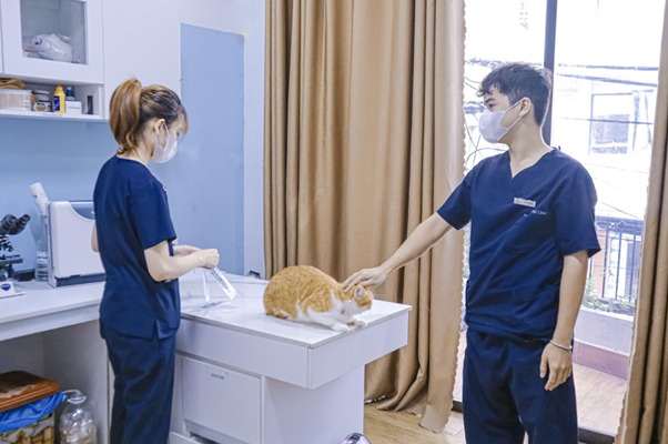 Giai đoạn tiền chuyển dạ
