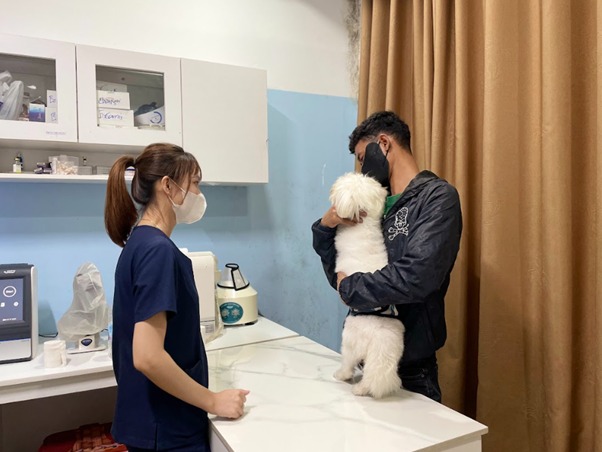Giảm cân và uể oải
