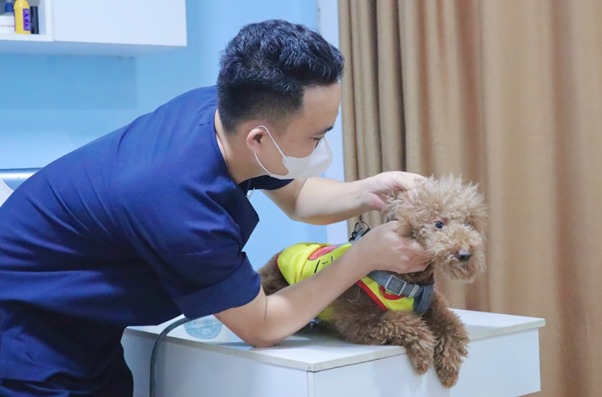Hạn chế vận động mạnh