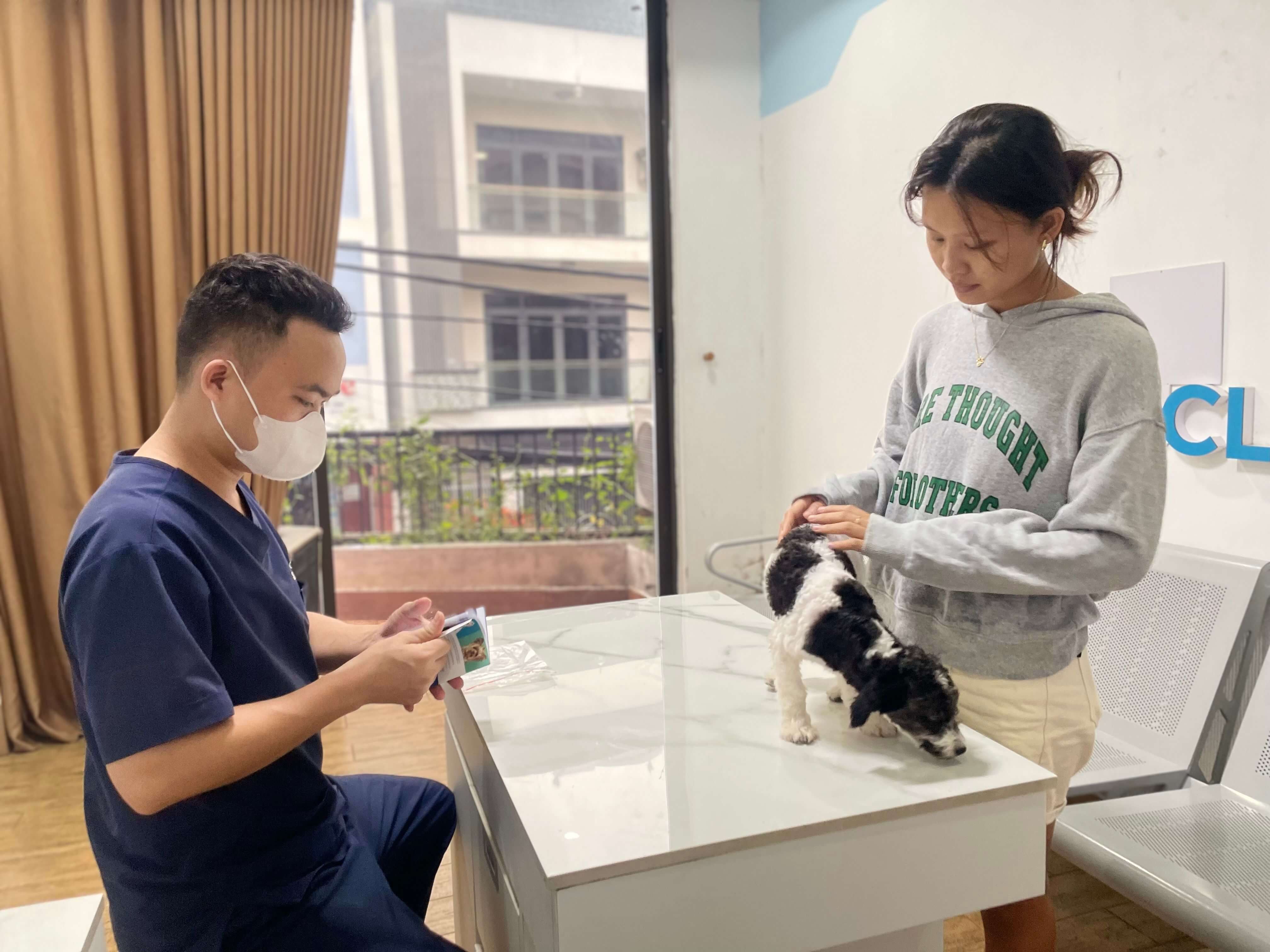 Chi phí lấy cao răng cho chó bao nhiêu tiền?