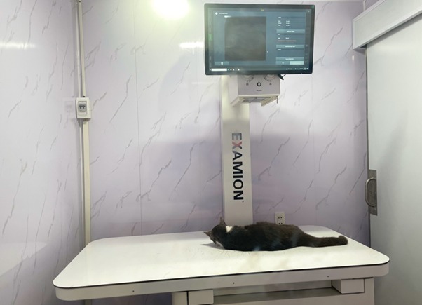 Một số lợi ích của việc chụp X quang cho chó mèo
