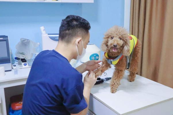 Móng bị nứt