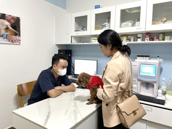 Một số biểu hiện giai đoạn đầu bị đục mắt của chó