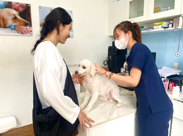 Nguyên nhân và yếu tố nguy cơ gây ung thư xương ở chó