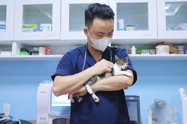 Nguyên tắc cơ bản trong việc vệ sinh răng miệng cho thú cưng