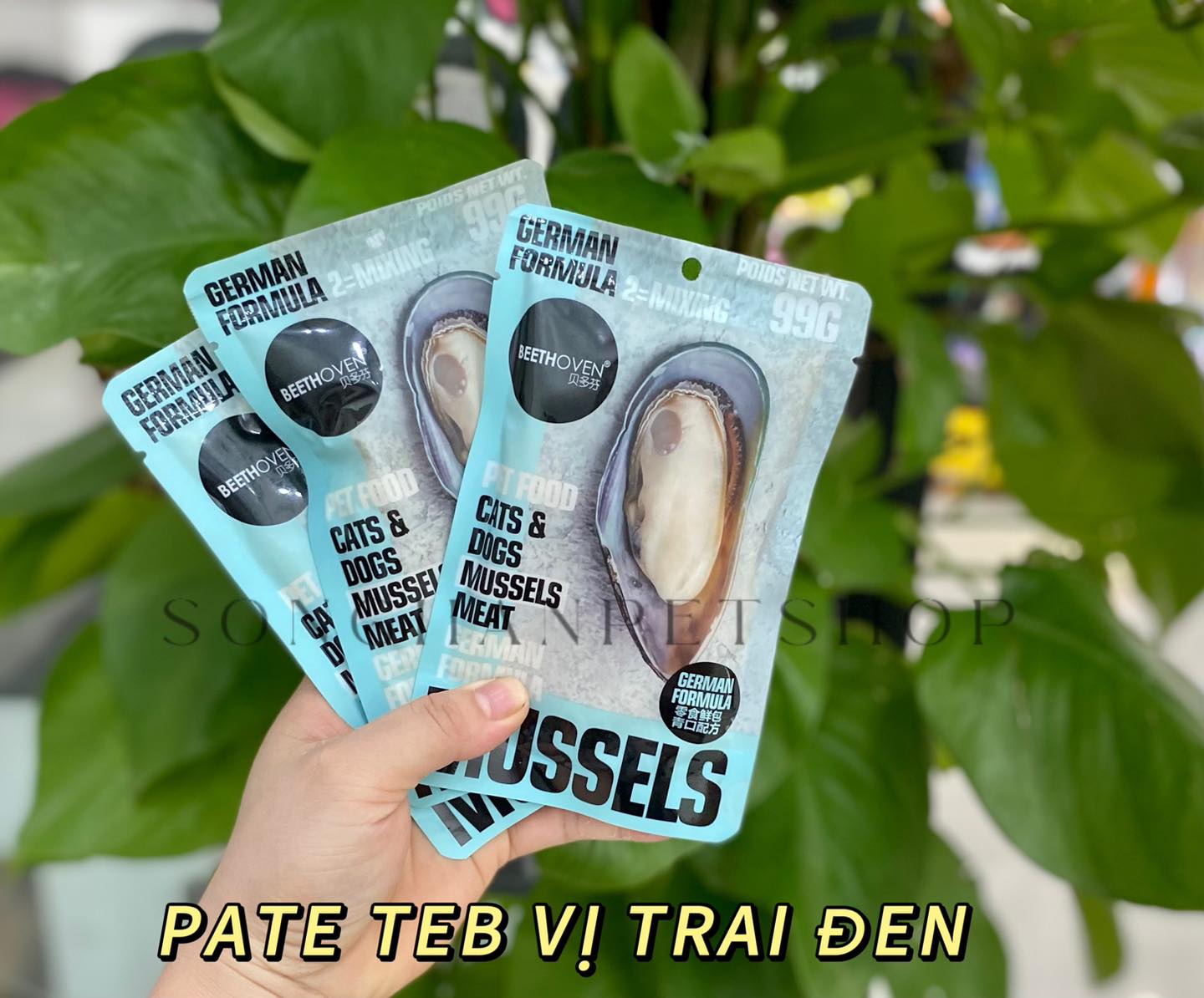 pate-teb-beethoven-cho-meo.jpg