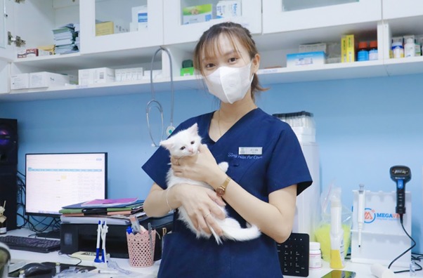 Quyết định của bác sĩ