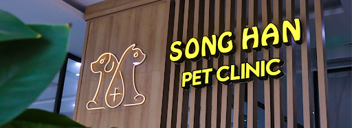 Sông Hàn Pet - Địa chỉ thú y đáng tin cậy