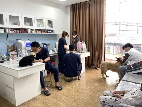Sông Hàn Pet - Phòng khám thú y uy tín số 1 thị trường hiện nay