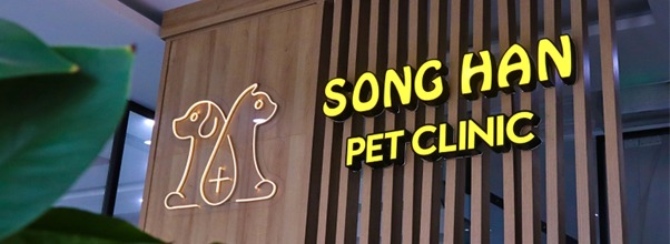 Sông Hàn Pet
