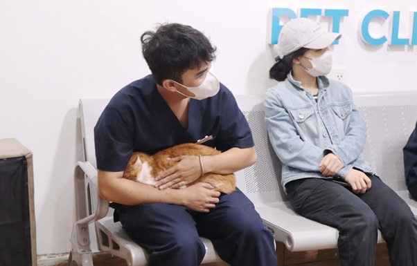 Sức khỏe yếu