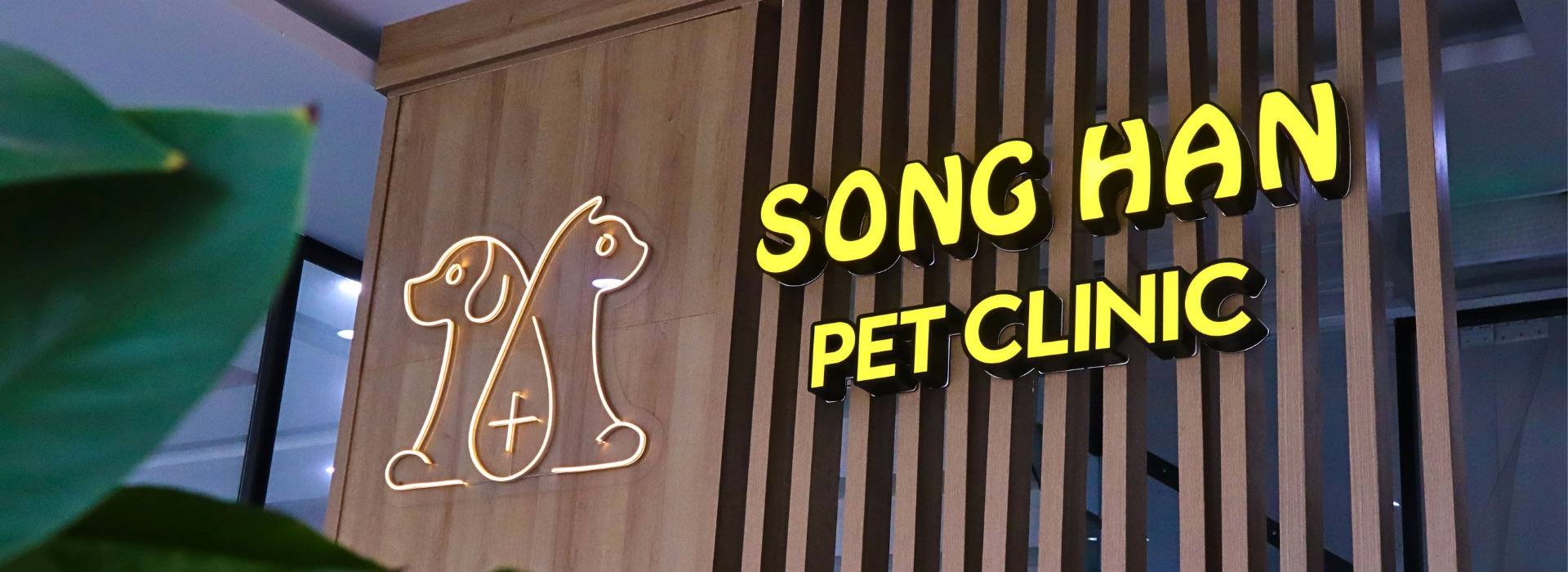 Thăm khám tại Sông Hàn Pet