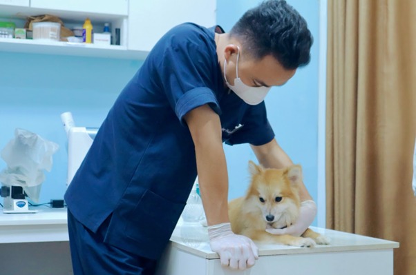 Thay đổi về hành vi và sức khỏe