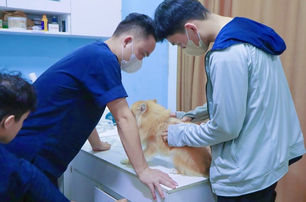 Theo dõi mức độ tổn thương ở đuôi